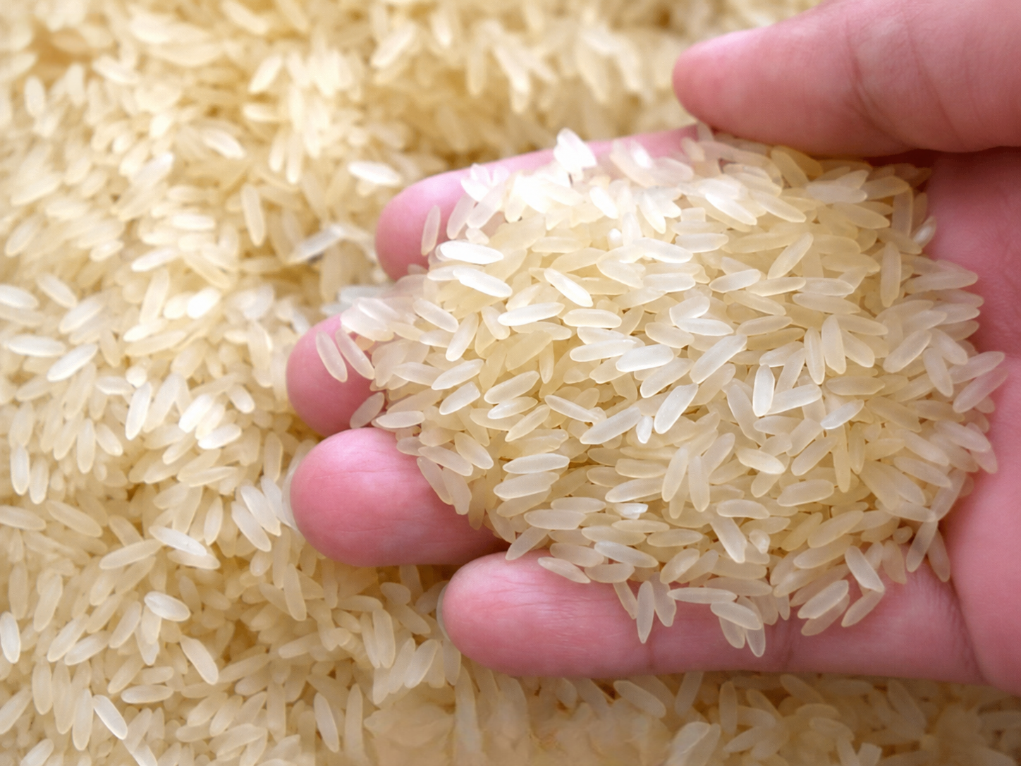 IR-64 Rice exported by Aurenta International Pvt. Ltd.